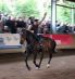 Mighty-Trickreitshow-Nagold-2010