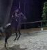 Mighty-Show-Westerburg-2010