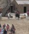 Karl-May-Festspiele_Segeberg13.jpg