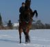 Mighty-Effringen Feb.2012.JPG