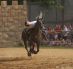 Ritterspiele-Scherneck-2009
