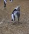 Trickreiten04.jpg