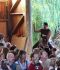 Trickreitshow-Nagold01.jpg