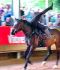 Trickreitshow-Nagold06.jpg
